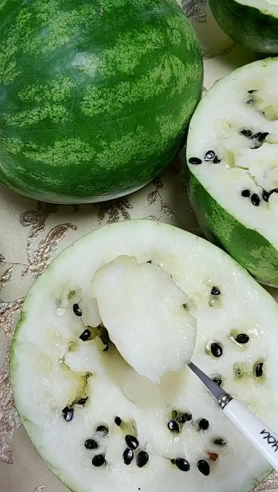 东北哪个网红吃酸瓜,酸爽滋味引网友热议！”