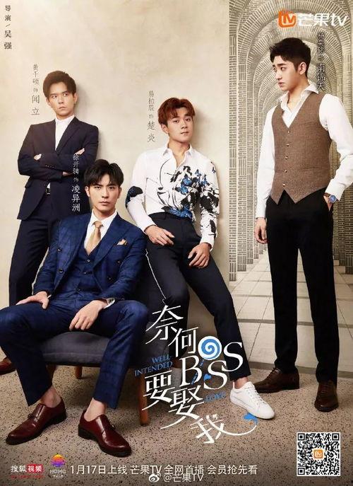 奈何boss要娶我全集在线观看,甜蜜爱情喜剧，霸道总裁的浪漫邂逅