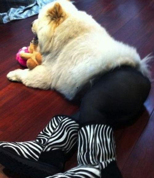 丝袜母狗高跟鞋屁眼