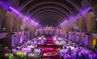 河源婚庆爆料事件最新进展,最新进展揭秘，真相逐渐浮出水面